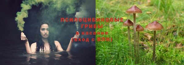 прущая мука Белоозёрский