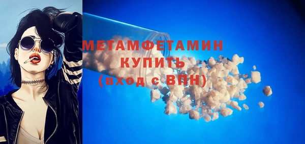 шишки Белокуриха