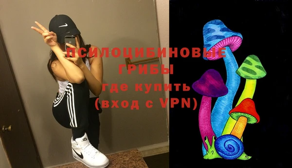 шишки Белокуриха