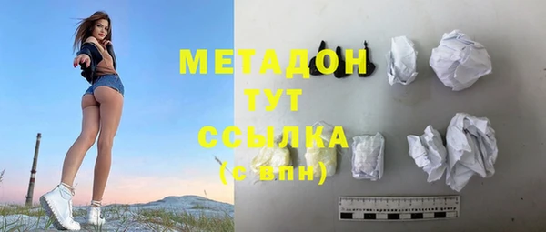 шишки Белокуриха