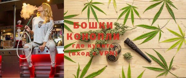 шишки Белокуриха