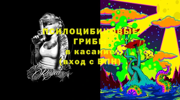 шишки Белокуриха