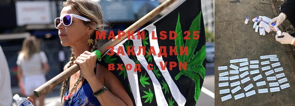 шишки Белокуриха