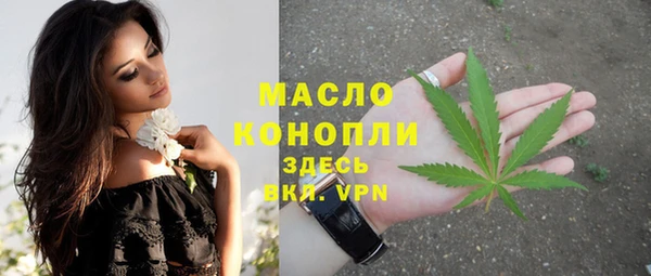 шишки Белокуриха