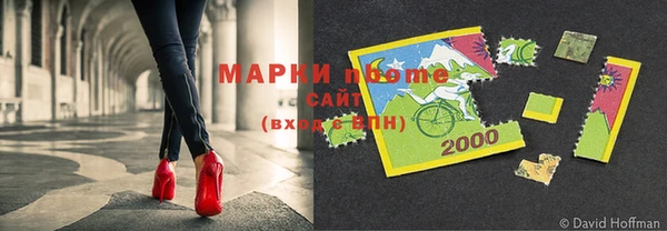 шишки Белокуриха