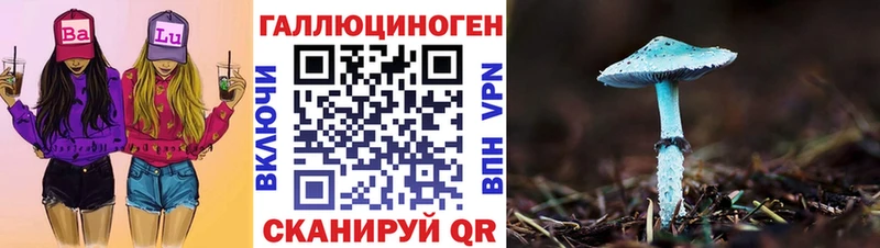 Псилоцибиновые грибы прущие грибы  как найти   Сим 